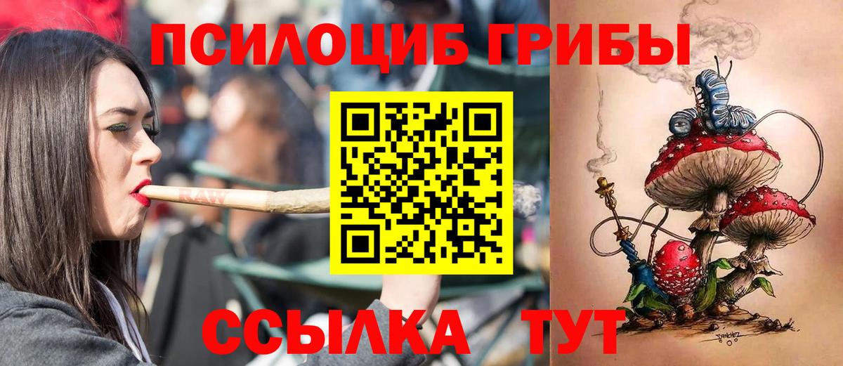 Псилоцибиновые грибы мухоморы  купить  цена  Нововоронеж  Псилоцибиновые грибы мухоморы  Вход с VPN 